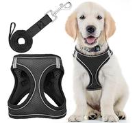 Dog Harness with Leash for Running, Hiking & Training - Large, Black - Soft Padded & No Pull Design Pet Harness with Leash Clips + Reflective Strips for Small & Medium Dogs - by EcoEarth