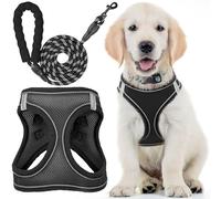 Dog Harness with Leash for Running, Hiking & Training - Small, Raven Black - Soft-Padded & No-Pull Design Pet Harness with Leash Clips & Reflective Strips for Small & Medium Dogs - by EcoEarth