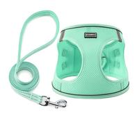Dog Harness with Leash Set, No Pull Adjustable Reflective Step-in Puppy Pet Vest Harnesses for Small Medium Large Dogs and Cats,Green XXS