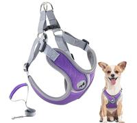 Dog Harness with Leash Set, No Pull Adjustable Step in Collars Harness with Breathable Padded Vest for Small Dogs Training and Running (S, Purple)