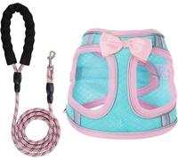 Dog Harness with Leash Set, Step-in Breathable Puppy Cat Dog Vest Harnesses, No Pull Adjustable Reflective Puppy Harness with Soft Padded Vest for Extra-Small/Small Medium Large Dogs and Cats