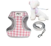 Dog Harness With Retractable Leashes | Pet Leashes Dog With Vest Harness Set - Adjustable Strap Simple Design Back Mesh Rotatable Buckle Dog Walking Outdoor Training Tool, Pomeranians Maltese Dogs Pap