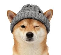 Dog Hats, Cute Knitted Headgear Accessories, Cold Weather Outdoor Cat Hats, for Small, Medium, Large, Cold Weather, Party, Walk, Birthday, Photo Shooting