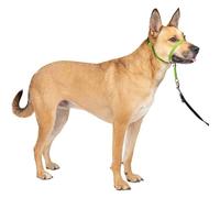 Dog Head Collar, No Pull Training Tool for Dogs on Walks, Gentle Training Collar, Stops Heavy Pulling On The Leash, For Small Medium Large Dogs Training And Walking (M,Green)