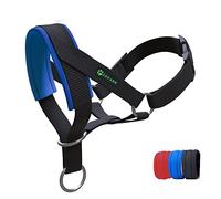 Dog Head Collar with Padded Fabric, Head Harness for Dogs, Anti pulling Head Halter Collar, Adjustable and Easily Control (L,Blue)