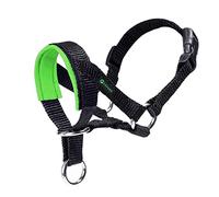 Dog Head Collar with Padded Fabric, Head Harness for Dogs, Anti pulling Head Halter Collar, Adjustable and Easily Control (M, Apple Green)