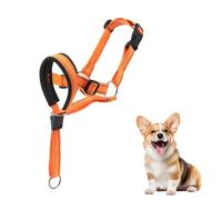 Dog Head Collar with Soft Padded, Gentle Leader for Medium Large Dogs, No Pull Head Harness, Anti Pull Adjustable Reflective Training Head Halter Collar (Yellow,S)