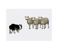 'Dog Herding Sheep' Temporary Tattoo - Water Resistant, Skin-Safe, Non-Toxic Transfer (TO00050494)