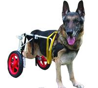 Dog Hind Legs Adjustable Large Dog Wheelchair, Assisted Trolley Leg Rehabilitation Lightweight Pet Walking Tool (L, XL)