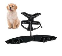 Dog Hip Brace - Orthopedic Dog Splint Foot Hip Joint Hip To Hip | Leg Sigh, Knee Wound Protection For Pets