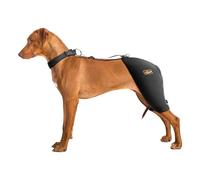 Dog Hip Brace with Hot/Cold Compress, Support for Hip Dysplasia, Arthritis, Back Leg limping, Prevents Hip Joint Issues, Reduce Hip Pain etc(Male Dog, XXL)