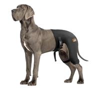 Dog Hip Brace with Hot/Cold Compress, Support for Hip Dysplasia, Arthritis, Back Leg limping, Prevents Hip Joint Issues, Reduce Hip Pain etc(Female Dog, XXL)