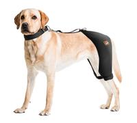 Dog Hip Brace with Hot/Cold Compress, Support for Hip Dysplasia, Arthritis, Back Leg limping, Prevents Hip Joint Issues, Reduce Hip Pain etc(Male Dog, L)