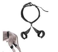 Dog Hip Support Brace,Hip Dysplasia Brace for Dogs,Dog Hip Dysplasia Brace,Dog Leg Knee Braces for Back Leg Rear Leg,Dog Hip Orthotics Brace for Hip Dysplasia, Luxating Patella, Relieve Hip Pain(M)