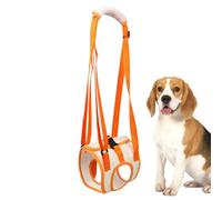 Dog Hip Support | Fixed Double Mesh Dog Leg Support | Ergonomic and Breathable Auxiliary Belt for Disabled and Elderly Dogs