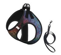 Dog Holographic Dreams Printed Harness And Leash Set,Adjustable,Breathable Soft,Step-In Mesh Pet Vest Harness With Reflective Strip