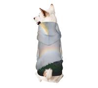 Dog Hoodie Dog Sweater Stylish Dog Clothes Print Pet Clothing Streetwear Sweatshirt Tracksuits Outfit for Dog Puppy-X-Small, Niagara Falls