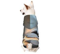 Dog Hoodie Sweatshirt for Fall and Winter, Cozy Pet Clothes for Outdoor Activities, Futurist Landscape Tie Dye Print Pets wear Hoodies