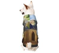 Dog Hoodie Sweatshirt for Fall and Winter, Cozy Pet Clothes for Outdoor Activities, The Earth in The Mysterious Church Tie Dye Print Pets wear Hoodies