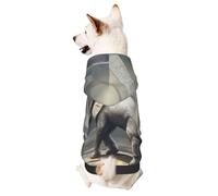 Dog Hoodie Sweatshirt for Fall and Winter, Cozy Pet Clothes for Outdoor Activities, The Golden Mammoth in The Ruins Tie Dye Print Pets wear Hoodies