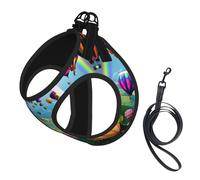 Dog Hot Air Balloons Printed Harness And Leash Set,Adjustable,Breathable Soft,Step-In Mesh Pet Vest Harness With Reflective Strip