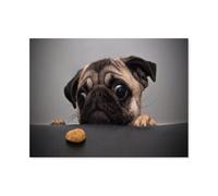 Dog Hungry Beautiful Cookies，Jigsaw Puzzles Puzzle for Adults Kids. 1000 Pieces Great Gifts Challenge Toy Educational Games Home Decoration for Adults& Kids Age 14 Years Up（50x70cm）-E7