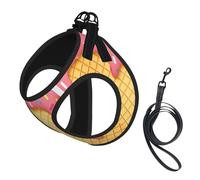 Dog Ice Cream And Waffle Pattern Printed Harness And Leash Set,Adjustable,Breathable Soft,Step-In Mesh Pet Vest Harness With Reflective Strip
