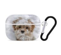 Dog in Snow Airpod Pro Case AirPods 2 Case for Women Hard Shell Protective Cover with Carabiner Keychain Compatible with AirPods Case 2nd 1st Generation, Front LED Visible White