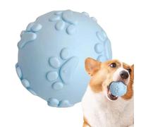 Dog Interactive Toy Pet Teething Training Squeaky Ball