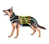 Dog Intervertebral Disc Protective, Dog Hip Support Brace, Comfortable Spine Support Vest, Back Protective Brace Helps Pain Relief, Facilitate Surgical Recovery, Prevent Back Diseases in Dogs(3XL)