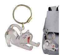 Dog Keepsake Box - 7x4.5cm Cat Hair Storage Box, Dog Hair Keepsake Keyring - Memorial Acrylic Clear Pendant Key Chain For Men Charm Purse Collection Backpack Women Bag
