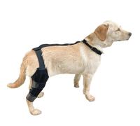 Dog Knee Brace - Black Leg Support Brace Soft Anti-Slip Protector Adjustable Pet Leg Wrap | Canine Joint Stabilizer with No