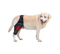 Dog Knee Brace for Acl, Knee Cap Dislocation, Arthritis - Keeps The Joint Warm - Extra Support - Reduces Pain And Inflammation