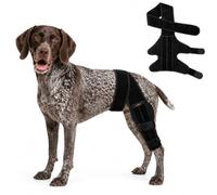 Dog Knee Brace for Back Leg, ACL Hind Leg Support for Dogs, Adjustable | 3 Built-In Spring Steel Stays, Slim 3mm Breathable & Flexible Design, Fits Either Left or Right Hind Leg