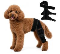 Dog Knee Brace for Back Leg, ACL Hind Leg Support for Dogs, Adjustable | 3 Built-In Spring Steel Stays, Slim 3mm Breathable & Flexible Design, Fits Either Left or Right Hind Leg