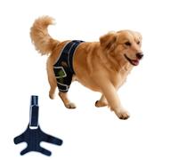 Dog Knee Brace for Back Leg, Adjustable Dog Knee Brace, Universal Use of 4 Leg (Blue_M)