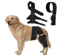 Dog Knee Brace for Back Leg, Adjustable Elbow Braces with Stabilizers, Canine Joint Support for Torn ACL, Luxating Patella, Arthritis, Ligament Injury and Post-Surgery Recovery, Universal (M)