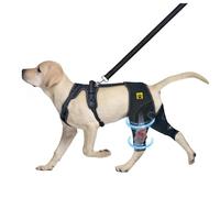 Dog Knee Brace for Cruciate ligament, Dog back Hind Leg Support Protector for Torn ACL Injuries，Recovery Aid, Warm Joint & Relief Pain, Premium Diving Cloth (Black, M)
