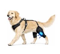Dog Knee Brace for Hind Leg, Adjustable Rear Leg Stabilizer with Secure Chest Harness, Breathable Non-Slip Support, for ACL/CCL, Multi-Size (Both Leg-L)