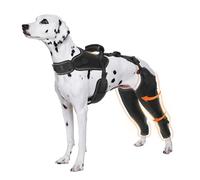 Dog Knee Brace for Pets with Cruciate Ligament Injuries - Keeps Joints Warm and Stable, Dogs Rear Leg Wrap Harness Set, Upgraded Adjustable Leg and Hip for Leg Wound Care and Lick Prevention, L