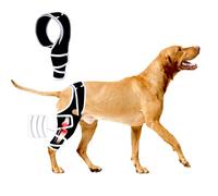 Dog Knee Brace for Torn ACL Hind Leg, Adjustable Dog Knee Braces Rear Leg or Front Legs, Pain Relief Hip Dysplasia Support CCL Brace for Dogs Cruciate Ligament Injury Recovery, S