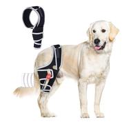 Dog Knee Brace for Torn ACL Hind Leg, Adjustable Dog Leg Braces Rear Leg or Front Legs with Cruciate Ligament Injuries, Warm Joint Pain Relief C race for Pets Knee Support Universal Four Legs, L
