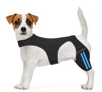 Dog Knee Brace for Torn ACL Hind Leg, Dog Leg Brace for Back Leg Fit Large to Small Dogs for Luxating Patella, Hip Dysplasia, CCL, Ligament Injuries (Medium)
