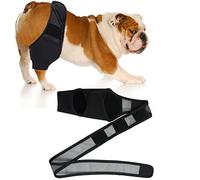 Dog Knee Brace for Torn ACL Hind Leg, Dog Leg Support Brace Breathable Dog Back Leg or Rear Leg Protector, Dog Leg Brace for Better Recovery Dog ACL Brace Hind Leg Adjustable Pet Knee Brace (L)