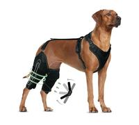 Dog Knee Brace for Torn ACL Hind Leg - Keeps Joints Warm and Stable, Upgraded Adjustable Leg Support (M, Hinges Knee Brace)