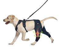 Dog Knee Brace for Torn ACL Hind Leg - Keeps Joints Warm and Stable, Upgraded Adjustable Leg Support (XL (Extended), Classic Knee Brace)