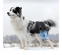 Dog Knee Brace for Torn ACL Hind Leg, Support Strip Design Ensures Stability, Adjustable Dog Back Leg Support Brace for Dogs Rear Leg, Reduce Joint Pain、Muscle Soreness and Inflammation (Size: M)