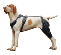 Dog Knee Brace for Torn Acl Hind Leg with With Metal Splint Hinged Support, Dog Leg Brace Support for Cruciate Ligament Injury, Dog Back Brace for Osteoarthritis, Recovery After Surgery,L