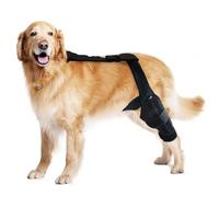 Dog Knee Brace for Torn ACL, Hip Dysplasia, Arthritis Pain Relief, Osteoarthritis, and Ligament Injuries, Adjustable Neoprene Support for Front or Hind Leg (PE Plus Webbing, XS)
