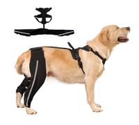 Dog Knee Brace, Reflective Lifting Harness with Carrying Strap, Support Brace for the Backhand - For Old Joint Injuries, Thigh Neck Fracture, Lameness, , Paralysis, Walking
